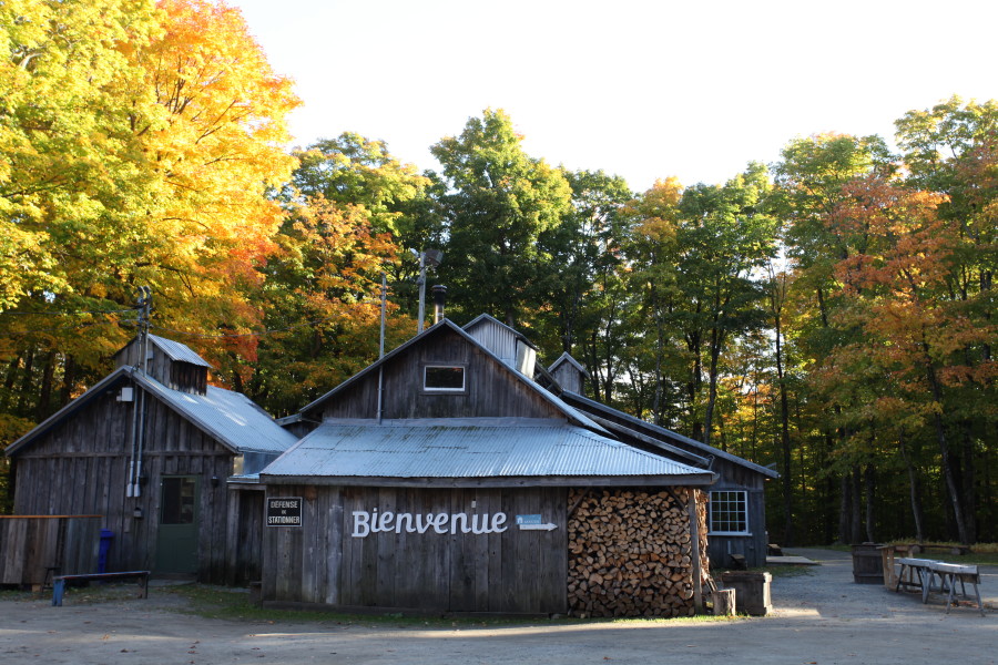 Le temps des sucres en plein été